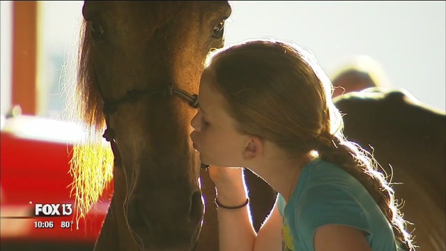 Neglected by last home, horse reunites with original owners