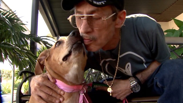 Military veteran, shelter puppy with anxiety find support in one another