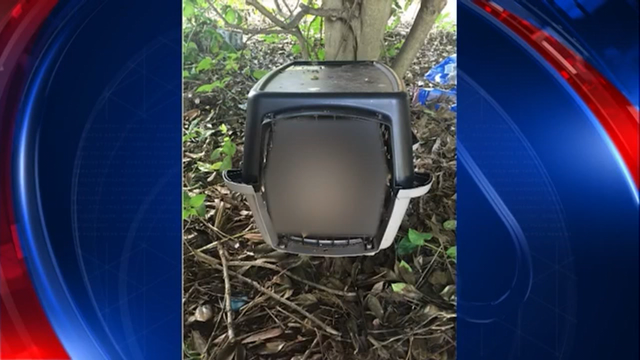 Morrow rescue group finds dead dog inside carrier in parking lot