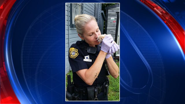 Tampa police: someone threw puppy in garbage