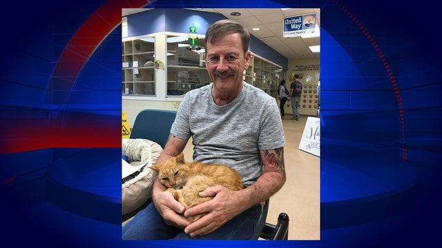 Florida man reunites with pet cat lost 14 years ago