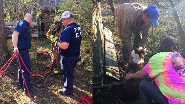 Banks County Fire rescues CoCo the dog from well