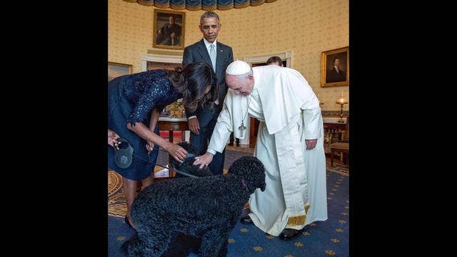 Pope Francis meets with Obama family dogs -- Bo and Sunny