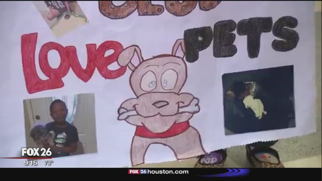 Proposed animal ordinance would allow homeless dogs and cats to be sold