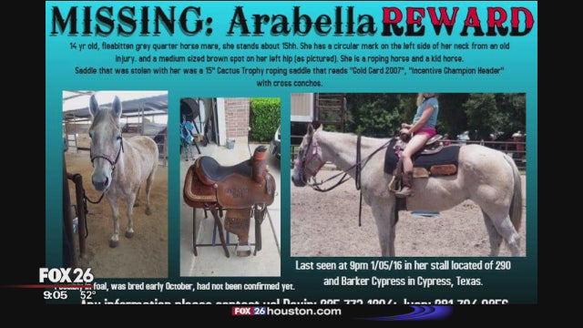 Recent rash of horse thefts plaguing the greater Houston area