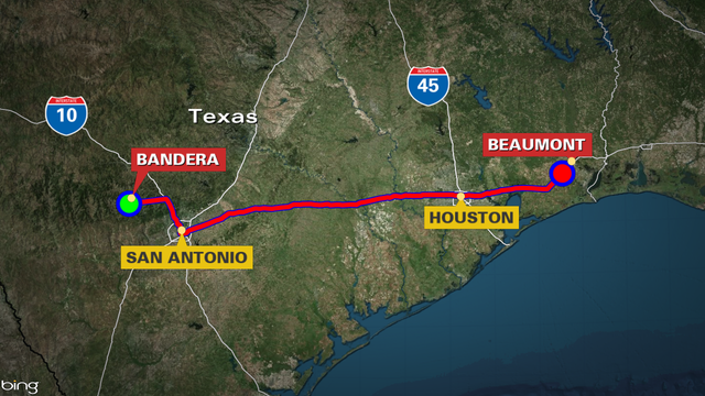 Spunky Ringtail takes ride of his life