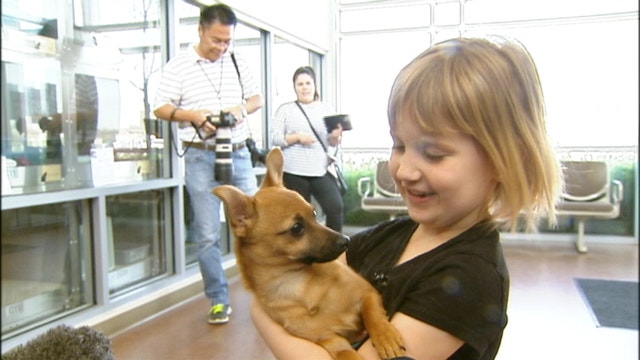 Puppy that overdosed on heroin gets new home