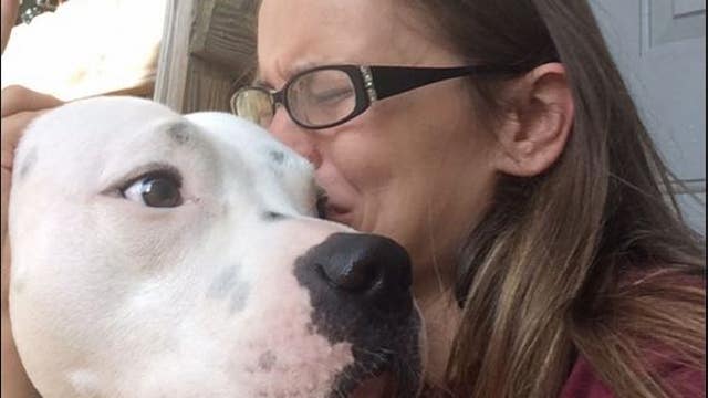 Family Fights Rescue Group to Return Surrendered Pet