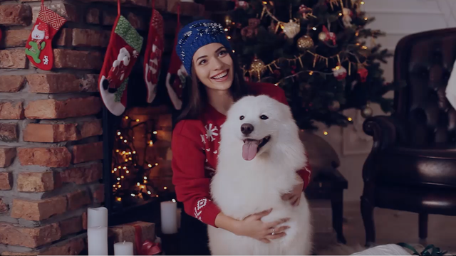 Keep your pets safe by keeping them away from the holiday human food