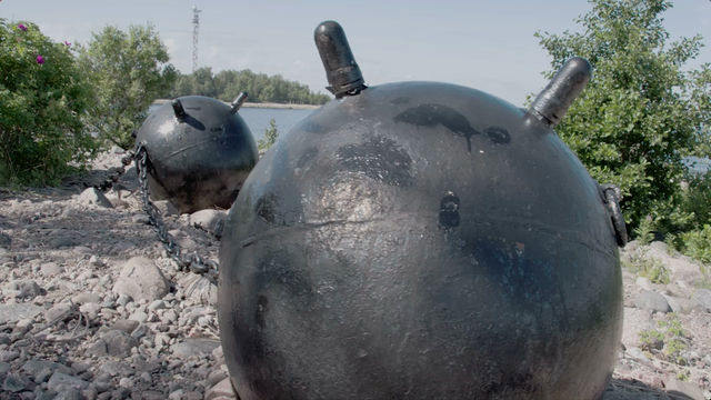 U.S. Navy dolphins keeping all mammals safe