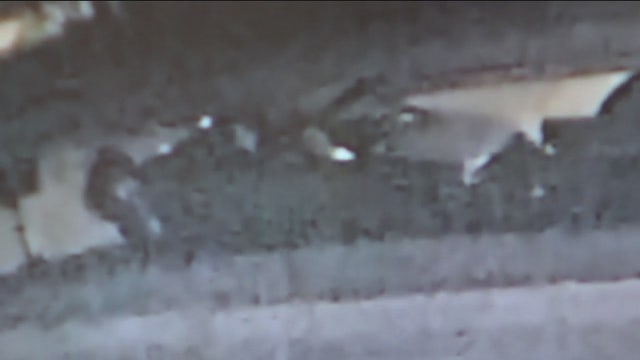 'Serial tire slasher' seen in surveillance video