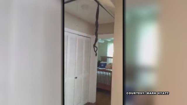 Man finds snakes lowering from his home's ceiling