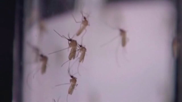 Confirmed case of West Nile Virus reported in Montgomery County