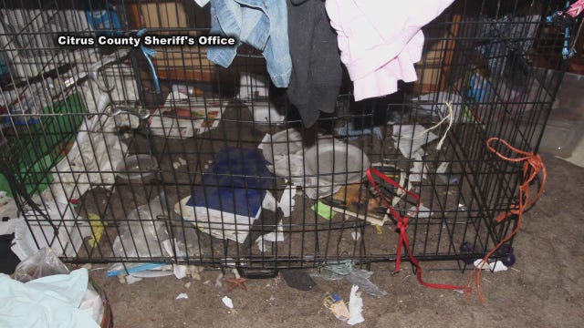 Mom, daughter accused of cross-country animal abandonment