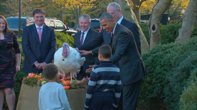 Obama makes final Thanksgiving turkey pardon