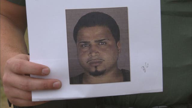 One puppy, some presents recovered after Grinch steals family's Christmas