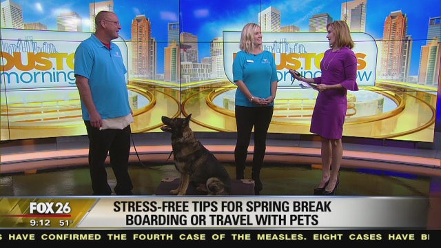 Stress-free tips for Spring Break boarding or travel with pets