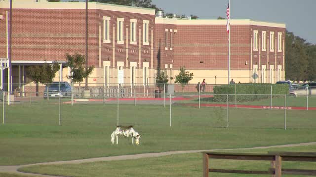 New app gives parents peace of mind, promotes child safety