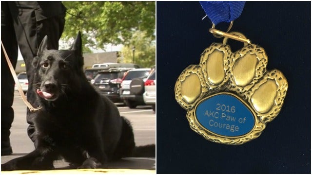 Doraville K9 officer to receive Paws of Courage Award