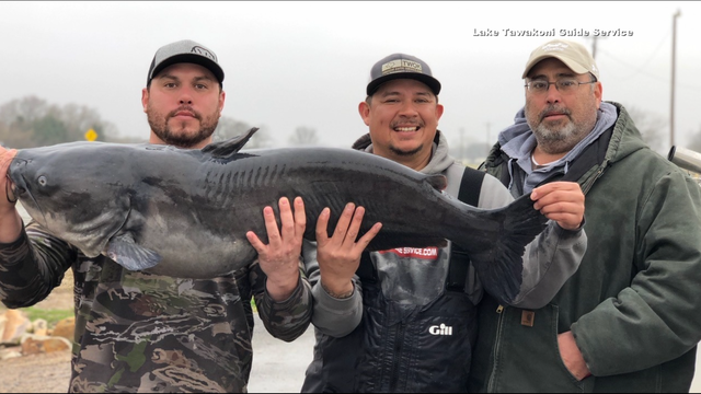 Angler may have set new state record with 47-pound catfish caught in North Texas lake