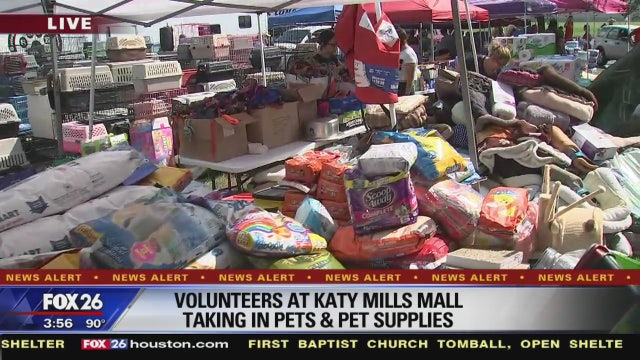 Volunteers at Katy Mills Mall taking in pets and pet supplies after Harvey