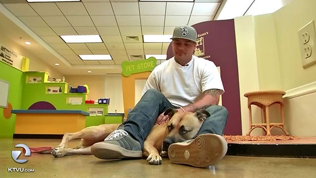 Rescued dogs paired with vets suffering from PTSD