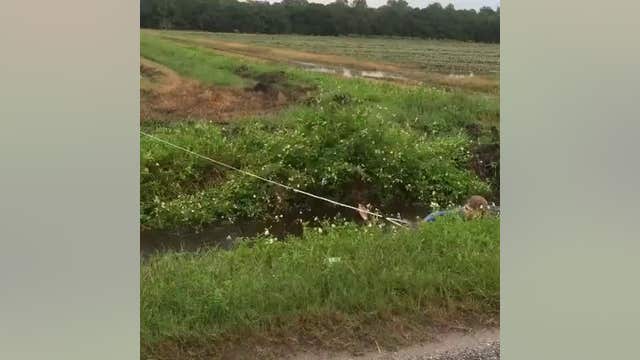 WATCH: Wakeboarder being pulled by a horse in Palatka