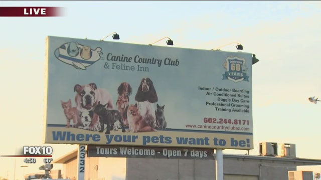 Woman killed after being attacked by Akita at Phoenix pet hotel