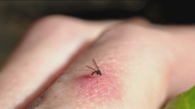 Beware! A "Mosquito-pocalypse" could be on the way late this week - Mondays with Mike