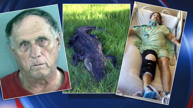 Man arrested for shooting alligator to protect livestock