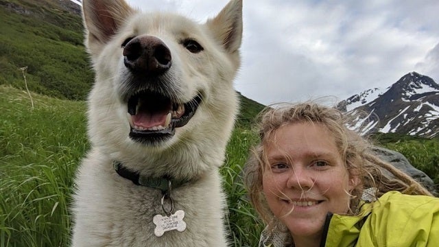 Husky saves hiker after 700-foot fall; owner says he's saved someone before