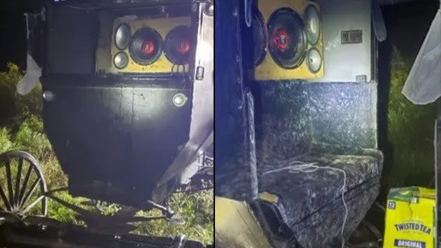 Ohio deputies pull over Amish buggy with stereo system, open 12-pack of beer