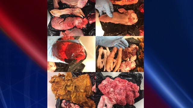 Raw animal parts found in luggage at airport