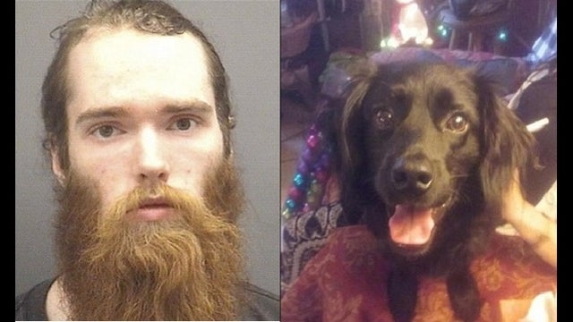 Man charged with animal cruelty after stabbing dog in stomach, neck
