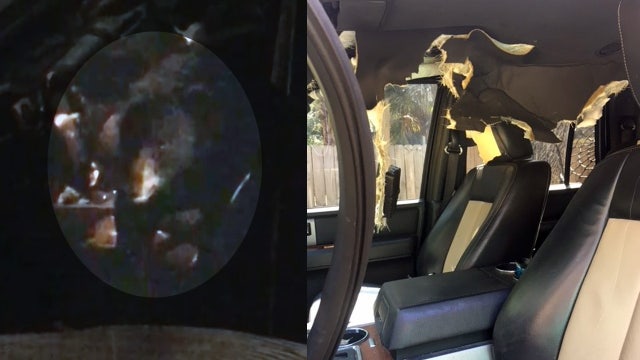 Bear wreaks havoc when trapped inside SUV