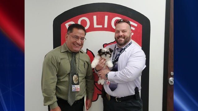 Baytown police return stolen dog