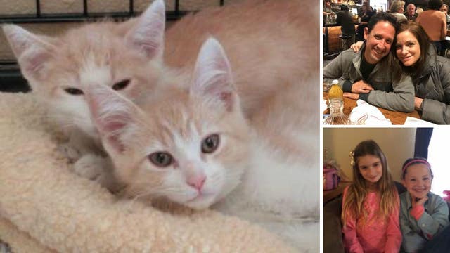 'Purr-fect' match for Petaluma couple