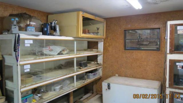 Owner of missing cobra cited for delay in reporting escape