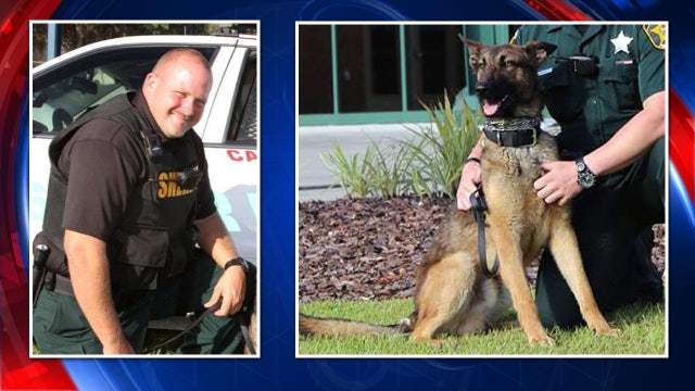 Fla. deputy forced to shoot, kill police dog after bite