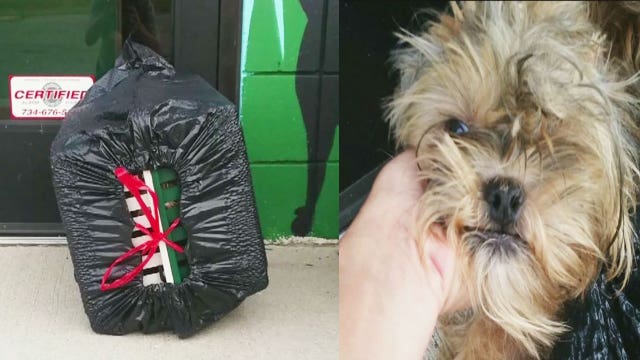 Yorkie left in tied up plastic trash bag outside animal shelter