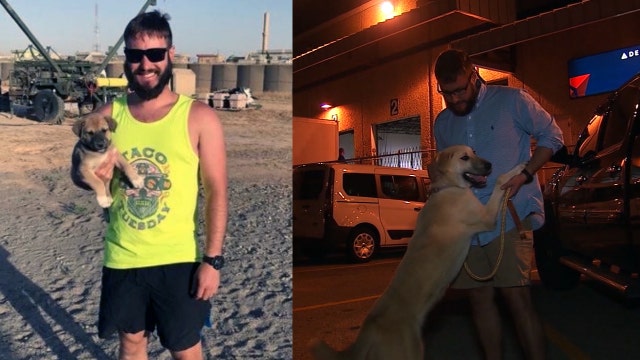 Iraq vet reunited with rescued pup