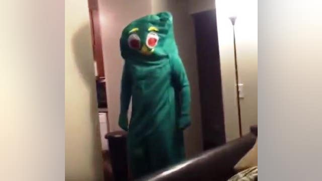 A giant chew toy walks into the room