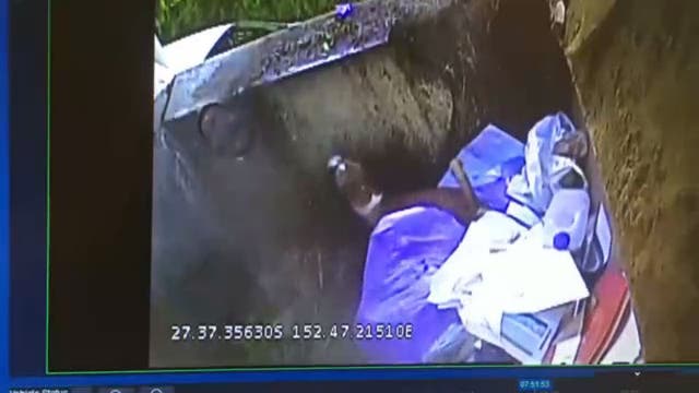 Dog  makes 'miracle' escape after avoiding crusher blade in garbage truck