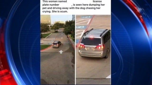 Arlington woman speaks out against claims she ‘dumped' dog