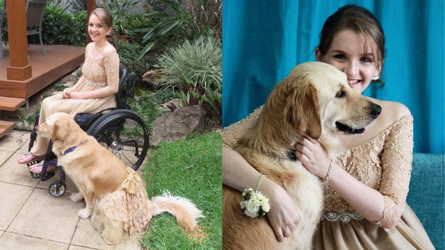 The loving bond between a high school student and her service dog