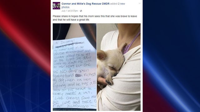 Puppy left in airport with heartbreaking note from owner