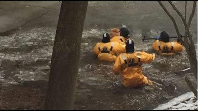 Dog rescued from icy lake