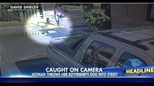 Woman hurls small dog at boyfriend in shocking video