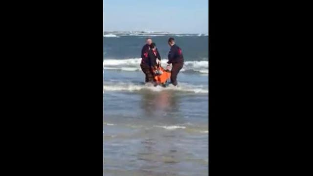 Crews rescue stranded dolphin in North Wildwood