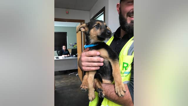 Puppy rescued from trash at Oroville recology site